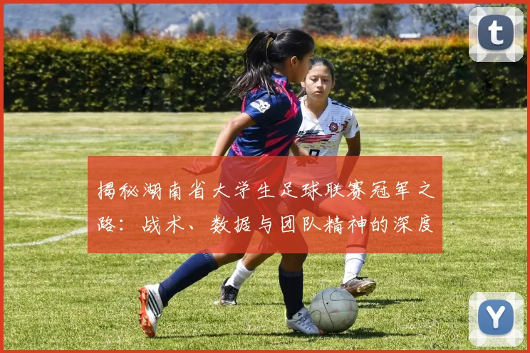 揭秘湖南省大学生足球联赛冠军之路：战术、数据与团队精神的深度解析